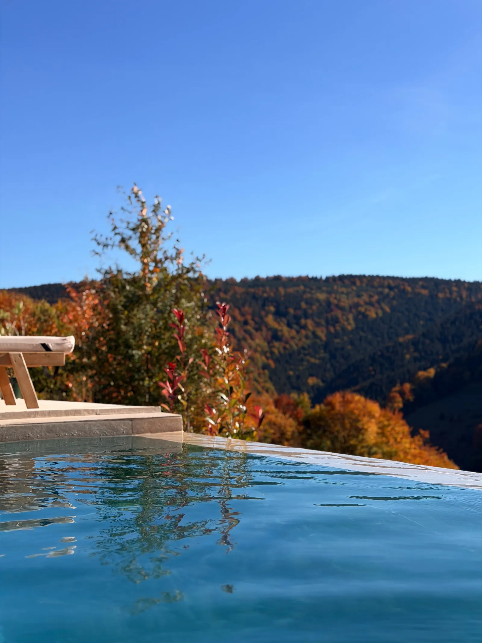 Apa piscinei la margine, cu reflexia copacilor de toamnă