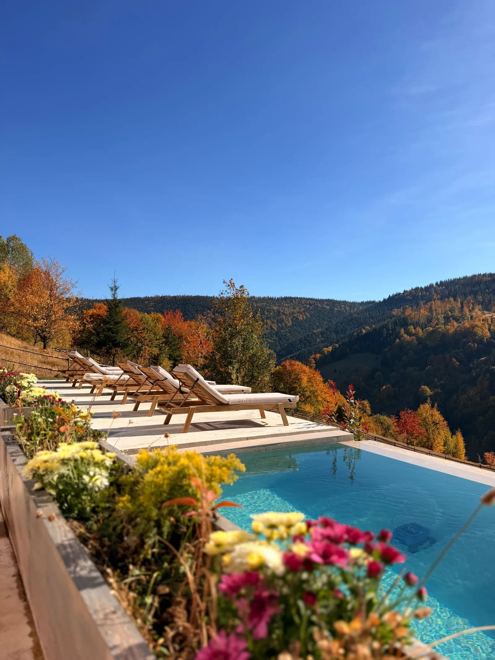 Șezlonguri pe terasa piscinei, cu valea în spate